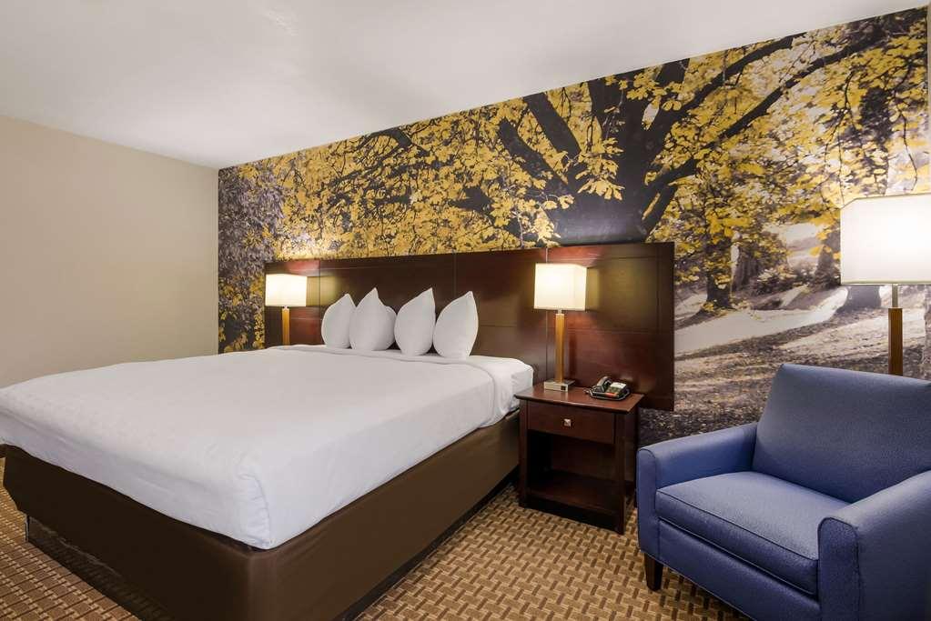 Clarion Pointe Hotel Abingdon Ruang foto